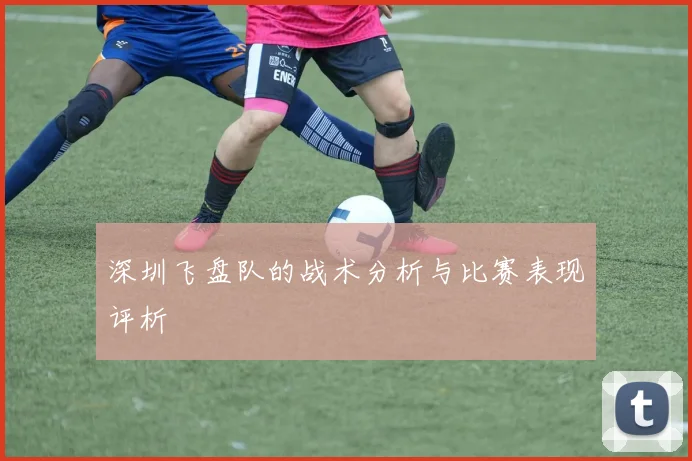 深圳飞盘队的战术分析与比赛表现评析