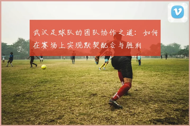武汉足球队的团队协作之道：如何在赛场上实现默契配合与胜利