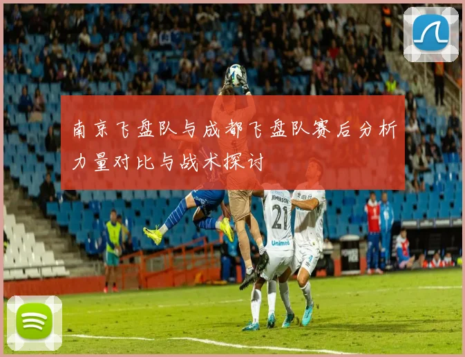 南京飞盘队与成都飞盘队赛后分析力量对比与战术探讨